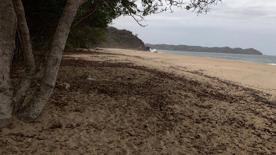 excelente macrolote de 89 ha. de playa en sayulita nayari