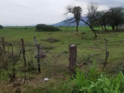 Terreno en venta en San Martín Hidalgo - foto 2