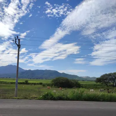 Terreno en venta en San Martín Hidalgo - foto 3