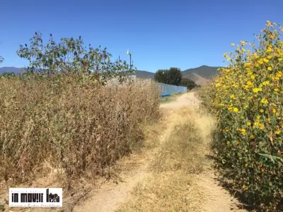 Terreno en venta en San Jerónimo Tlacochahuaya - foto 4