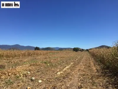 TERRENOS EN VENTA EN OAXACA, ZONA TLACOCHAGUAYA, TLACOLULA,