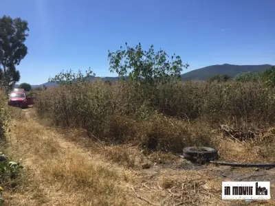 Terreno en venta en San Jerónimo Tlacochahuaya - foto 3