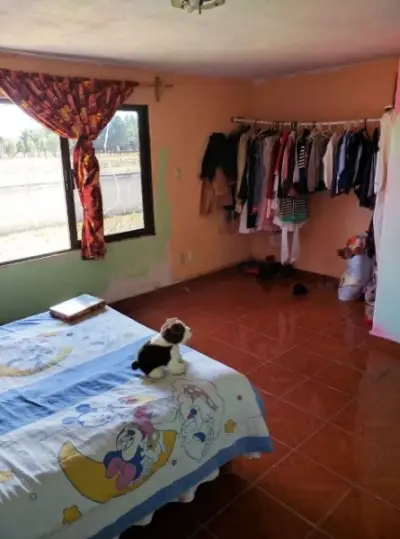 Casa en venta en Almoloya de Juárez - foto 5
