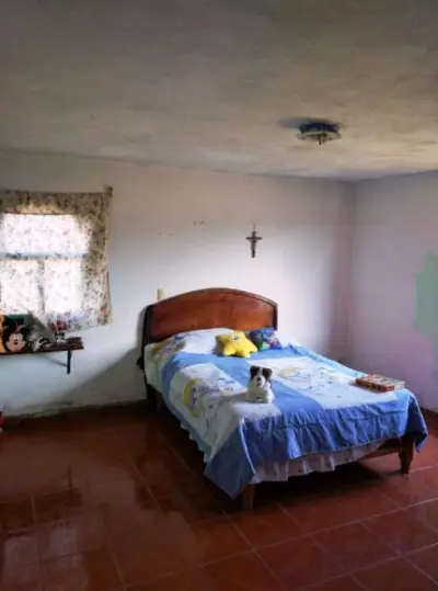 Casa en venta en Almoloya de Juárez - foto 4