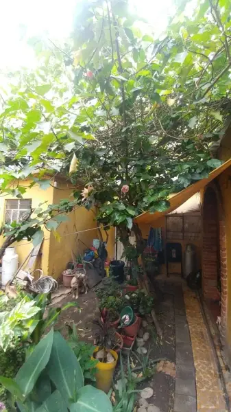 Casa en venta en Iztacalco - foto 4