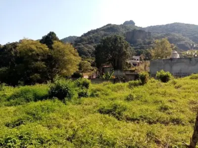 Terreno en venta en Tepoztlán - foto 4