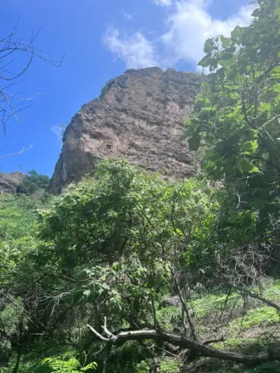 Terreno en venta en Tepoztlán - foto 5