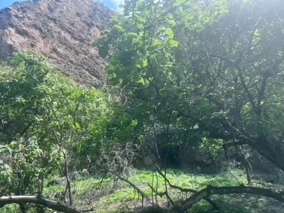 Terreno en venta en Tepoztlán - foto 3