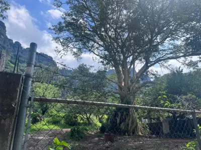 Terreno en venta en Tepoztlán - foto 4