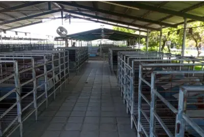 Rancho en venta en Ayala - foto 2