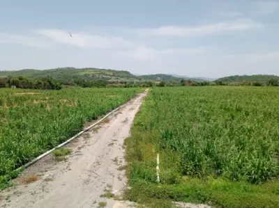 Rancho en venta en Ayala - foto 4