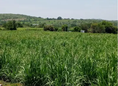 Rancho en venta con más de 90 hectáreas. Escriturado