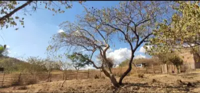 Terreno en venta en Xochitepec - foto 2