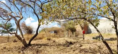 Terreno en venta en Xochitepec - foto 3