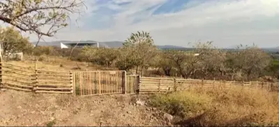 Terreno en venta en Xochitepec - foto 5