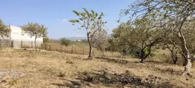 terreno a un costado del itesm de Xochitepec Morelos