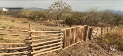Terreno en venta en Xochitepec - foto 4