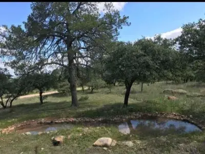 Terreno en venta en Durango - foto 3