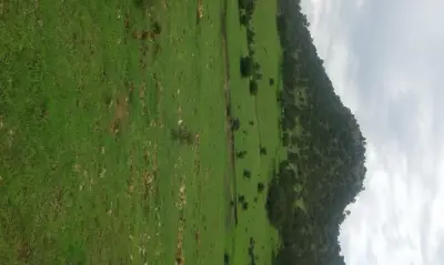 Terreno en venta en Durango - foto 5