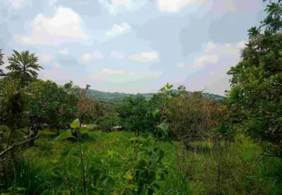 Terreno en venta en Tepoztlán - foto 2