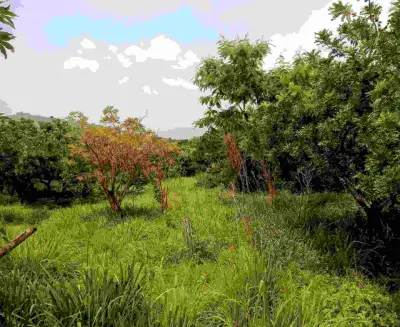 Bonito Terreno en venta 500 metros
