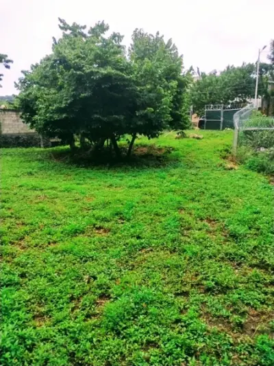 Terreno en Venta Amatlan 528 metros 