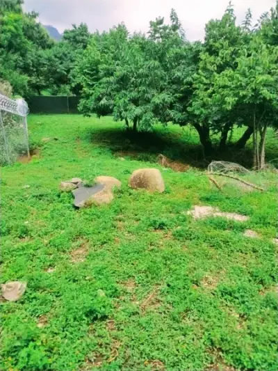 Terreno en venta en Tepoztlán - foto 2