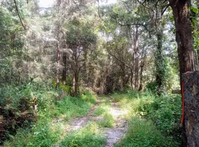 Terreno en venta en Tepoztlán - foto 2