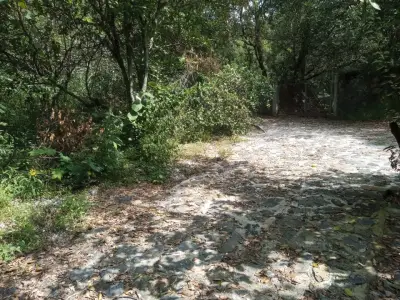 Terreno en venta en Tepoztlán - foto 3