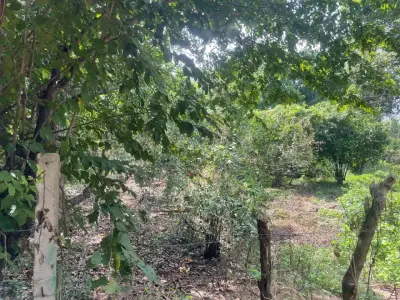 Terreno en venta en Chiapa de Corzo - foto 4
