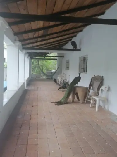 Rancho en venta en Cintalapa - foto 5