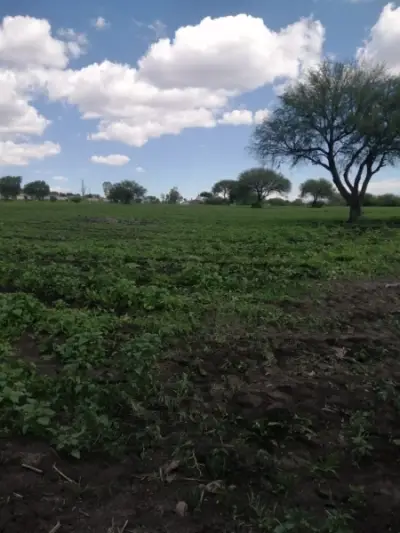 Rancho en venta en Colón - foto 3