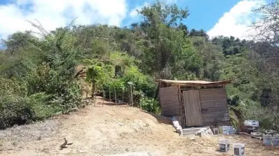 Terreno en venta en Bahía de Banderas - foto 5