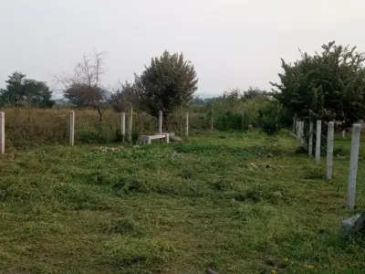 Terreno en venta en Temixco - foto 4