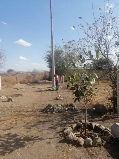 Terreno en venta en Temixco - foto 2