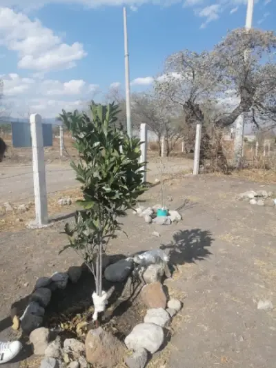 Terreno en venta en Temixco - foto 3