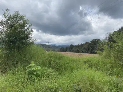 TERRENO CON ACCESO DESDE LA CARRETERA DE SAN ANTONIO