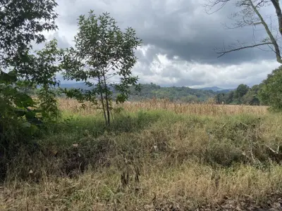 Terreno en venta en Tlalnelhuayocan - foto 5