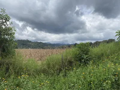 Terreno en venta en Tlalnelhuayocan