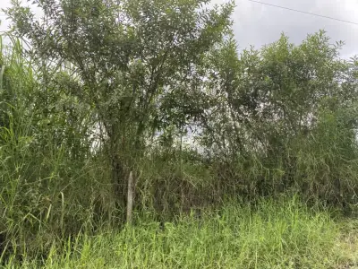 Terreno en venta en Tlalnelhuayocan - foto 2