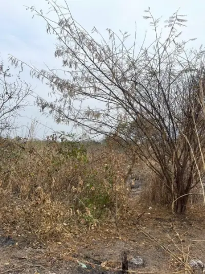 Terreno en venta en Tuxtla Gutiérrez - foto 2