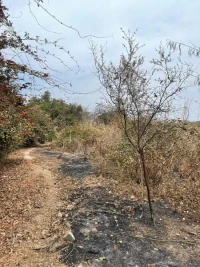 Terreno en venta en Tuxtla Gutiérrez - foto 3