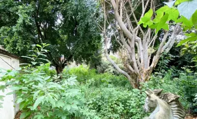 Terreno en venta en Cuernavaca - foto 3