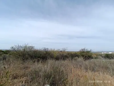 Terreno en venta en Lagos de Moreno - foto 4