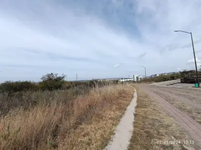 Terreno en venta en Lagos de Moreno - foto 3