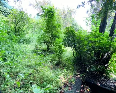 OPORTUNIDAD TERRENO SOBRE AV. PRINCIPAL EN RANCHO CORTES
