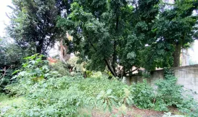 Terreno en venta en Cuernavaca - foto 5