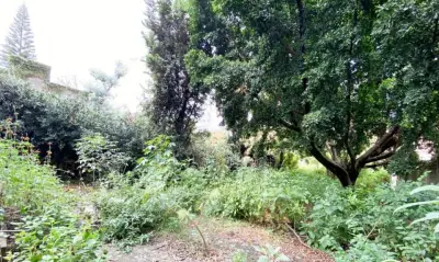 Terreno en venta en Cuernavaca - foto 4