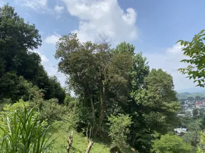Rancho en venta en Coatepec - foto 4