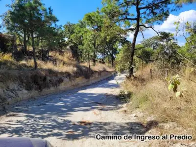 Rancho en venta en Tala - foto 5